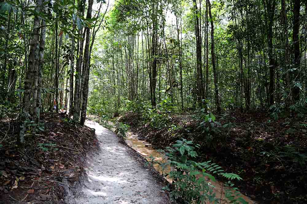 Iracema Falls — Complexo Turístico — foto 12